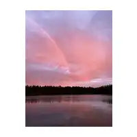 pink rainbow - design