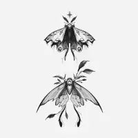 Two moths - design