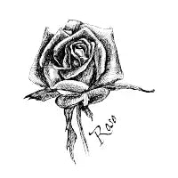 Rose flower - design