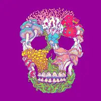 Mushrooms - design