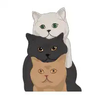 3 cat statue - design