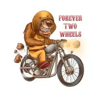 Bear ride - design