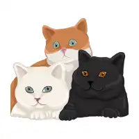 Cats Pose - design