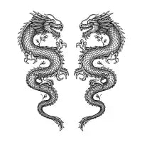 Dragons - design