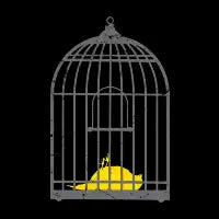 Dead Canary - design