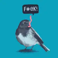 Early Bird - design