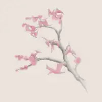 Ptiny Pterosaurs - design
