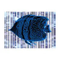 fish - design