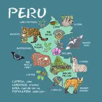 Peru - Illustrated map - design