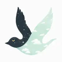 Bipolar Bird - design