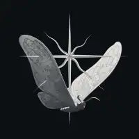 Monarch Migration - design