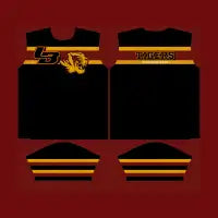 LosBanos_Tigers_Style_C - design