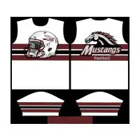 Mustangs_Generic_Visiting_Colors - design