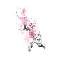 Blooming attacks - design