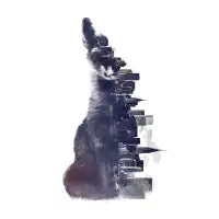 Fox from the city - design