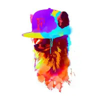 Foxey's favourite cap - design