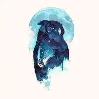 Midnight owl - design