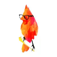 Punk birdy - design
