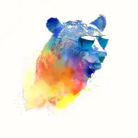 Sunny bear - design