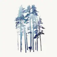 Winter wolf - design