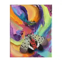 Spotted Lanternfly Study - design
