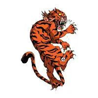 Tiger - design