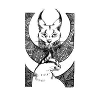 Caracal - design