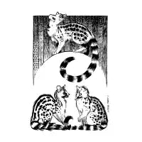 Genet - design