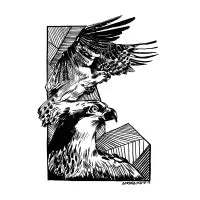 Osprey - design