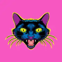 Black Cat - design