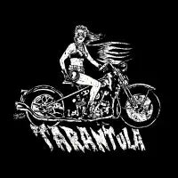 TARANTULA vintage - design