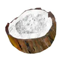 Coconut Half - design