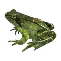 Frog - design