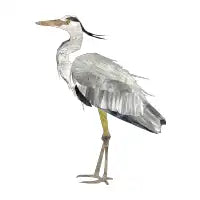 Grey Heron - design