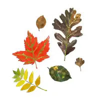 Leaves - design