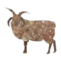 Loaghtan - design