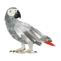 Parrot - design