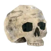 Skull - design