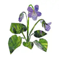 Violet - design