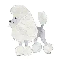White Poodle - design