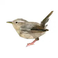 Wren - design