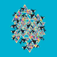 Rainbow Triangle Prism Orcas - design
