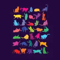 String Theory - design