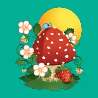 Summer Strawberry - design