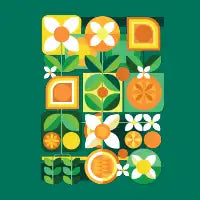 The Orange Grove - design