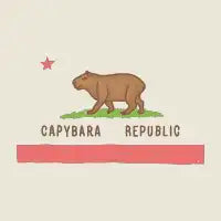 Capybara Republic - design