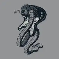 Snakeuitar - design