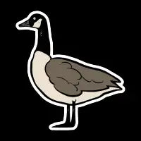Canada Goose - design