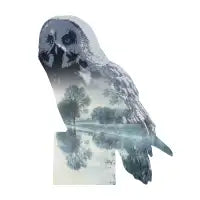 owl - design
