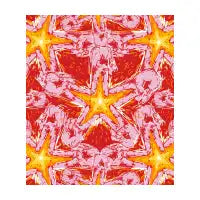 STARPEACE - design
